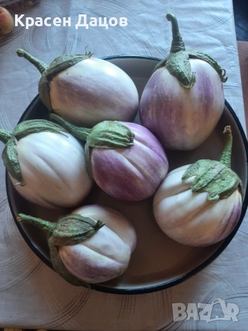 Домашни туршии , снимка 18 - Домашни продукти - 53509900