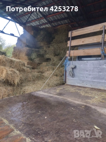 Продавам Бали Люцерна !, снимка 4 - За селскостопански - 52836781