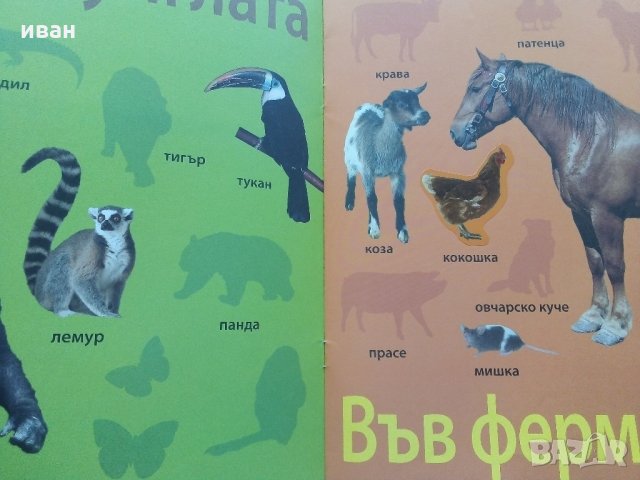 Детски книжки със стикери, снимка 4 - Детски книжки - 35967209
