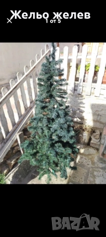 Елха,бяла,95см 25лв, елха180см,70лв, снимка 4 - Изкуствени цветя - 43292966