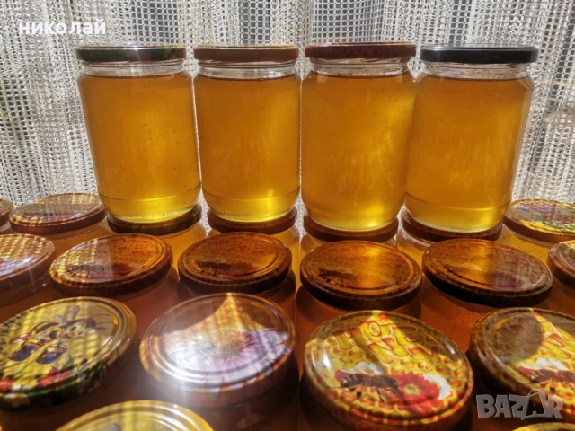 Продавам чист домашен пчелен мед и пчелен прашец , снимка 6 - Пчелни продукти - 51852441