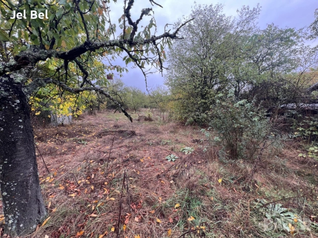 Две Къща с 3дка Двор в Казанлък, Вилна Зона "Старите Лозя" и Тюлбето, снимка 16 - Къщи - 52512610