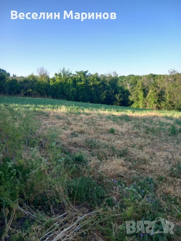 Продавам парцел в с.Кривня, общ. Провадия,  обл. Варна , снимка 4 - Парцели - 50700496