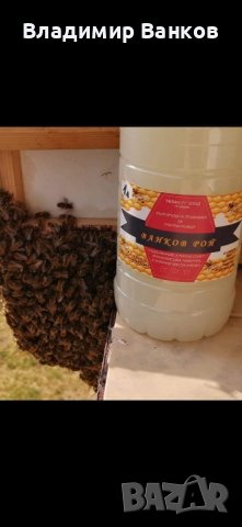 Продавам примамка за пчелни рояци "Ванков рой", снимка 1 - За пчели - 44202783