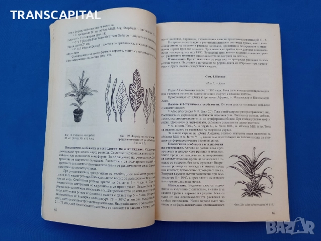 Цветарство , снимка 3 - Енциклопедии, справочници - 51846874