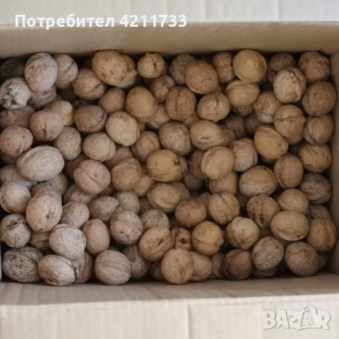 орехи на черупка, снимка 2 - Други - 52799542