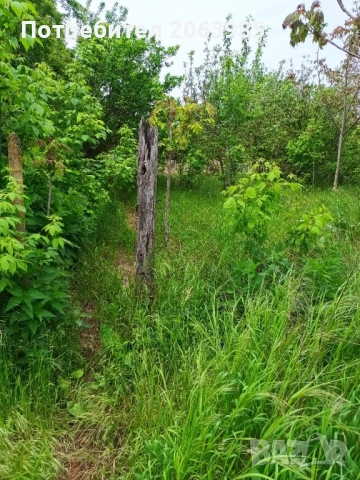 Къща с двор и геран, снимка 3 - Къщи - 53751952