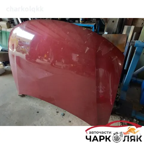 Преден капак Фолксваген Пасат Б5 (бордо), снимка 3 - Части - 47605744