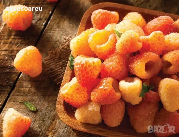 20 Семена от Британска Есенна Златна Малина Златни витаминозни Сладки Малини от Колумбия плодове, снимка 18 - Сортови семена и луковици - 50220808