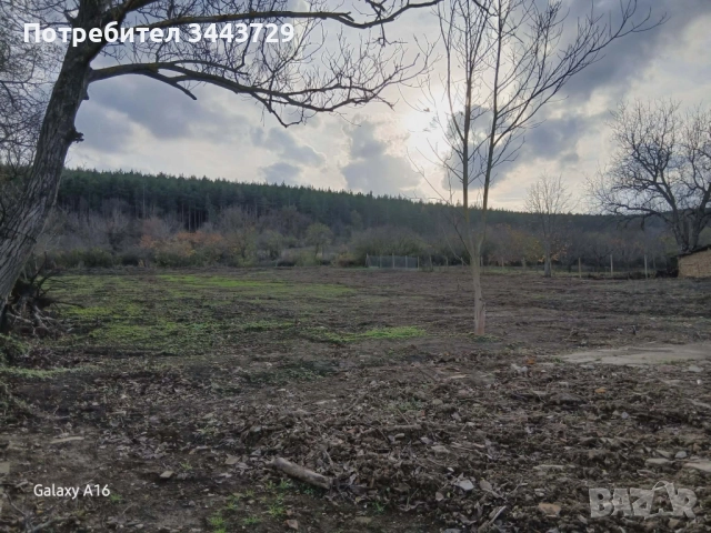 Имот в град Смядово, снимка 5 - Парцели - 52682996