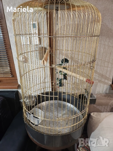 Клетка за големи папагали, снимка 2 - Папагали - 53384771