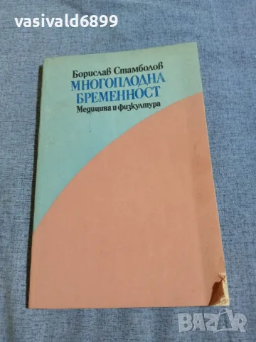 Борислав Стамболов - Многоплодна бременност 