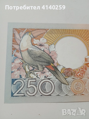 СУРИНАМИ БАНКНОТА 250 ГУЛДЕНА 1988 Г , снимка 5 - Нумизматика и бонистика - 52676587