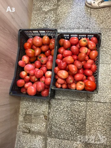 Продавам домашни домати, снимка 2 - Домашни продукти - 55949275