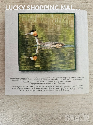 Сребърна монета Нестинарство 10 лв, 2021, снимка 4 - Нумизматика и бонистика - 52482737