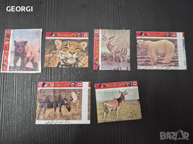 Картинки от дъвки Momo, снимка 1