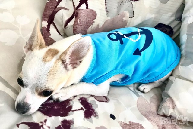 Тениски за кучета. Дрехи за куче. Блузка за куче. Синя и розова тениска за куче, снимка 7 - За кучета - 29374825