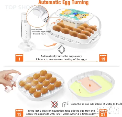 Автоматичен смарт инкубатор 16 яйца от Oifecsie, снимка 2 - За селскостопански - 48638480
