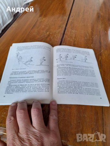 Книга Ски за всички, снимка 3 - Специализирана литература - 41877619
