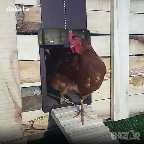 Автоматична врата вратичка за кокошки кокошкарник пилета гълъби