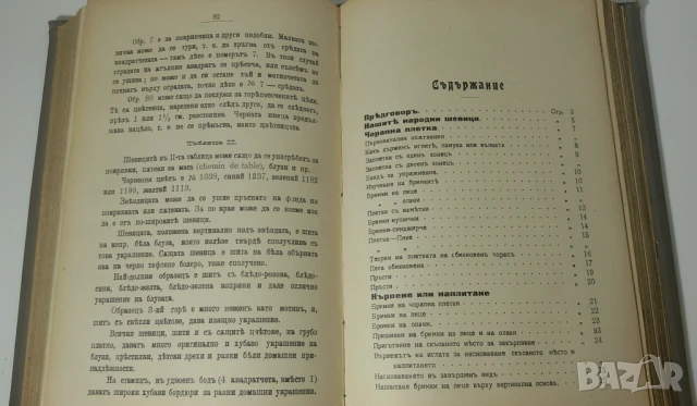 Старинна книга за шиене и домакинстване 1908 г, снимка 10 - Антикварни и старинни предмети - 51076043