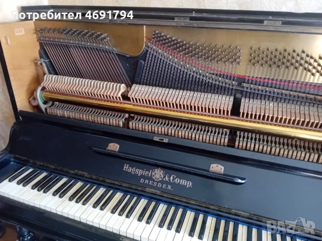 Немско пиано Hagspiel & Comp. Dresden, снимка 9 - Пиана - 52893886