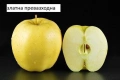 Ябълки-подбрани сортове, снимка 4