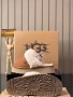 Дамски Обувки 🤍 UGG , снимка 14