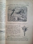 100-годишна антикварна ценност: „Зоология“ (1926) – Изд. Хр. Г. Данов, снимка 7