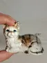 колекция порцеланови мини фигурки на котета    16/4, снимка 5