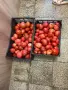 Продавам домашни домати, снимка 2
