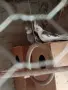 Двойка корели..., снимка 2