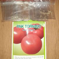 Семена домати Пинк Рок и Пинк Торнадо,Ръгби, снимка 3 - Разсади - 36159206