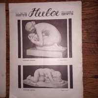 Стари списания "Нива" 1931-32 година, снимка 6 - Колекции - 36001584