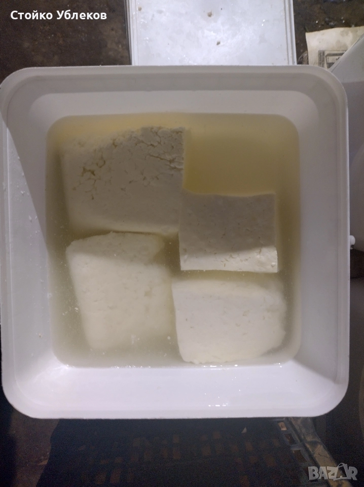 Прясно сирене,от, крави,, Джерсей,,, снимка 1