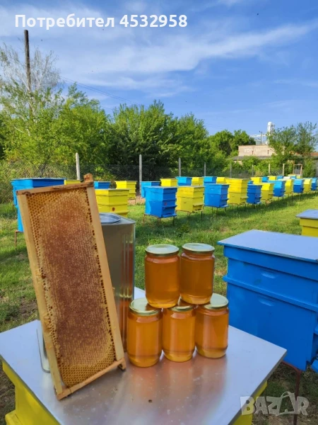 Пчелен мед, реколта 2025 от Производител , снимка 1