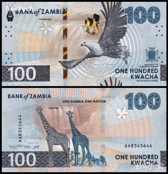❤️ ⭐ Замбия 2024 100 квача UNC нова ⭐ ❤️, снимка 1