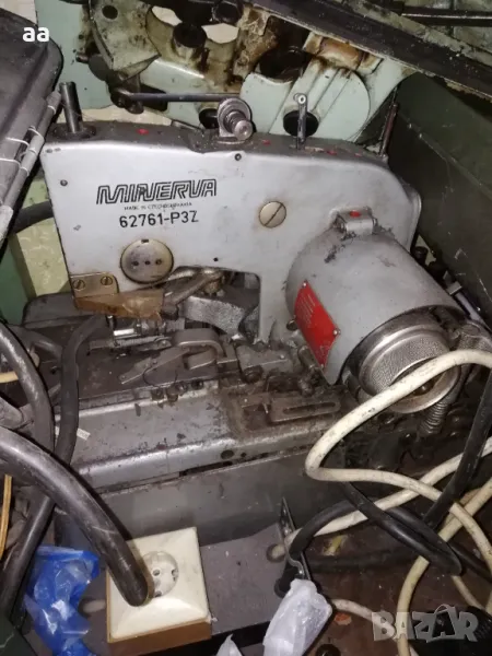 Илична Минерва, снимка 1