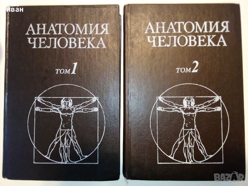 Анатомия Человека 1 и 2 том - Е.Борзяк,Л.Волкова,Е.Доброволская,В.Ревазов,М.Сапин - 1993г., снимка 1