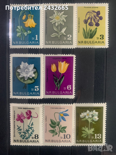 961. България 1963 = БК:1462/69 ” Флора. Опазване на природата: Цветя ”,**, МNH, снимка 1