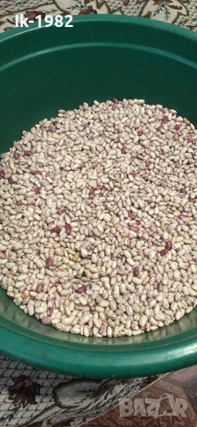 Шарен боб от Родопите , снимка 1