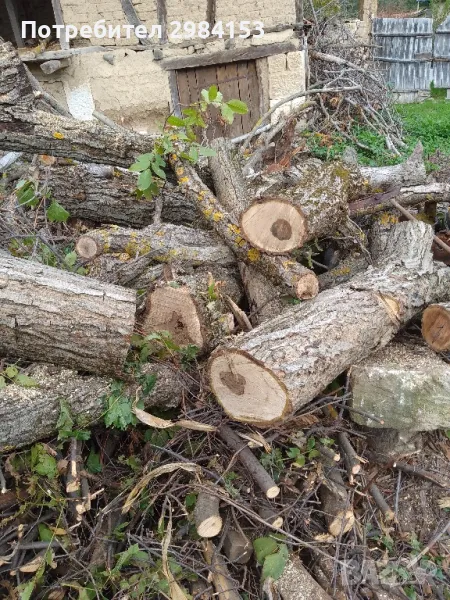 дървен материал орехи, снимка 1