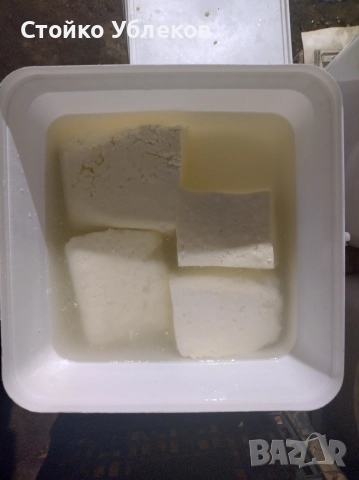 Прясно сирене,от, крави,, Джерсей,,