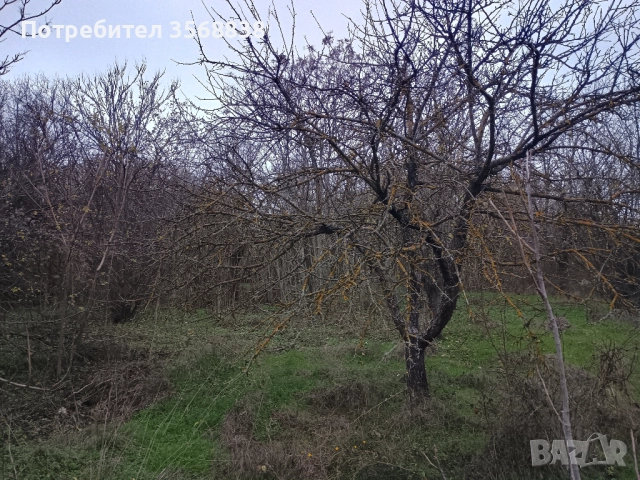 Вила ,със застроена площ 50 кв  м (има и гараж), , снимка 7 - Вили - 52789100