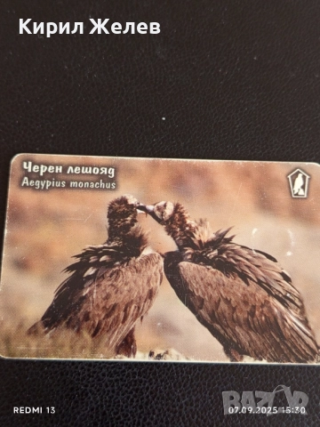 Три фонокарти МОБИКА тема ЗАСТРАШЕНИ ВИДОВЕ,ЧЕРЕН ЛЕШОЯД,ЛЕОПАРДОВ СМОК 12262, снимка 6 - Колекции - 51633304