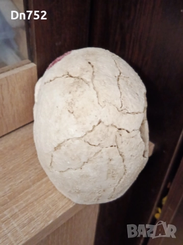 декоративен череп, снимка 4 - Статуетки - 52425768