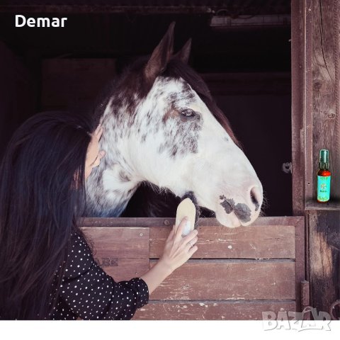 Овлажняващ спрей за кожа против насекоми за коне и магарета със суха, чувствителна козинa, снимка 5 - За селскостопански - 41905991