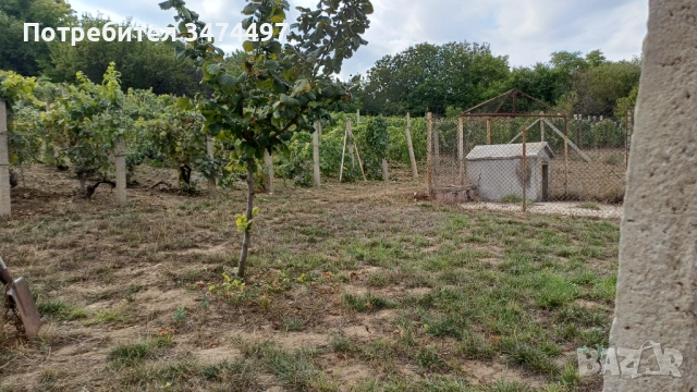 Продава къща, с.Айдемир, обл.Силистра, снимка 6 - Къщи - 53085378