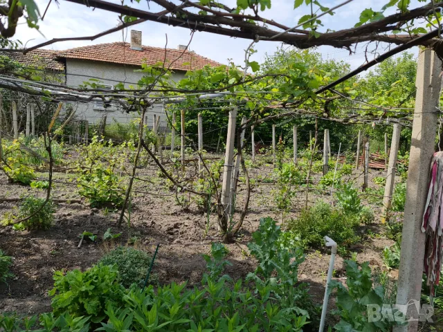 Продавам къща в кв. Бряг, снимка 12 - Къщи - 50384874