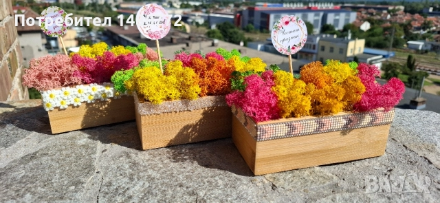 Малка бамбукова кашпа